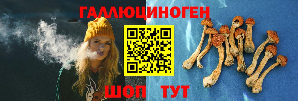Галлюциногенные грибы Psilocybine cubensis Ялта