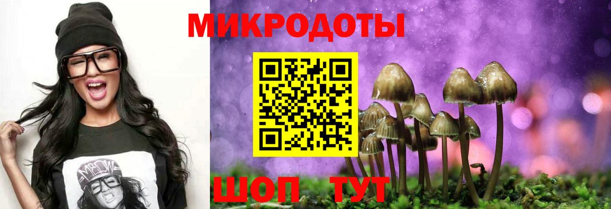 Псилоцибиновые грибы MAGIC MUSHROOMS  где купить   Вход с VPN  Ялта  Псилоцибиновые грибы GOLDEN TEACHER 